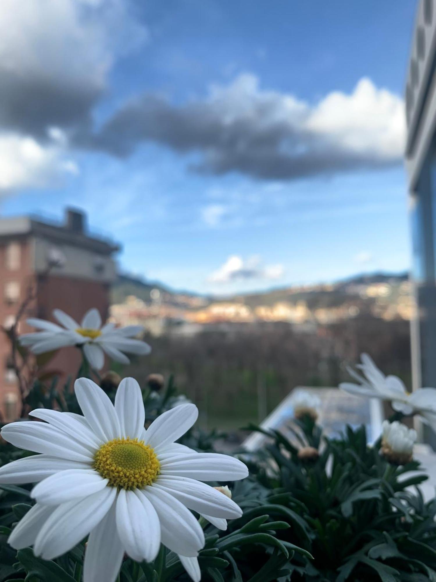 La Finestra Sul Parco Daire La Spezia Dış mekan fotoğraf