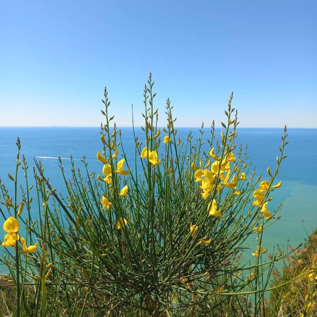 La Finestra Sul Parco Daire La Spezia Dış mekan fotoğraf